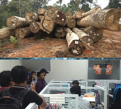zonariau.com : 200 Pekerja Kontraktor Landclearing Tagih Gaji di PT SMA Pekanbaru